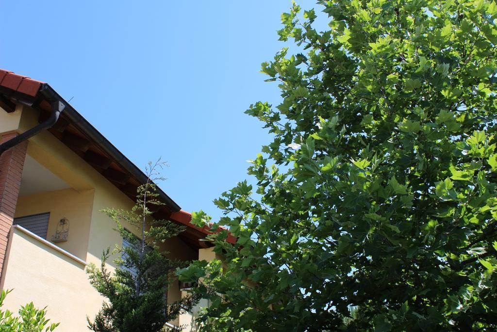 Wohnen Im Orientalischen Ambiente Harthausen (Rhineland-Palatinate) Exterior foto